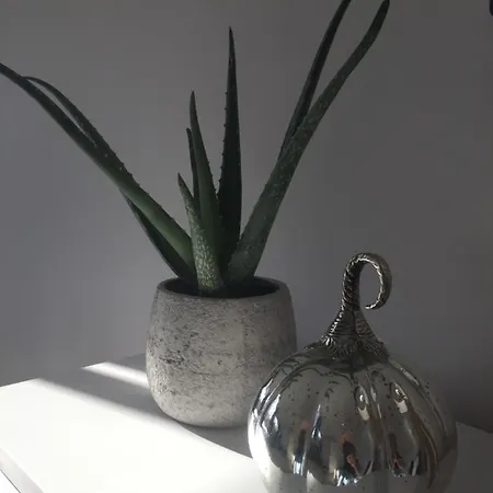 Bora Apartamento Stronie Śląskie