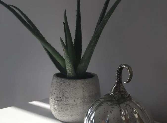 Bora Apartamento Stronie Śląskie